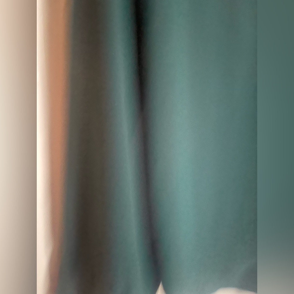 Express Long-Sleeve Button Front Button Green Blo… - image 6